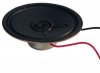 2.5'' 8 ohm speaker 0.5W.jpg