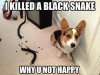 I killed the black snake.jpg