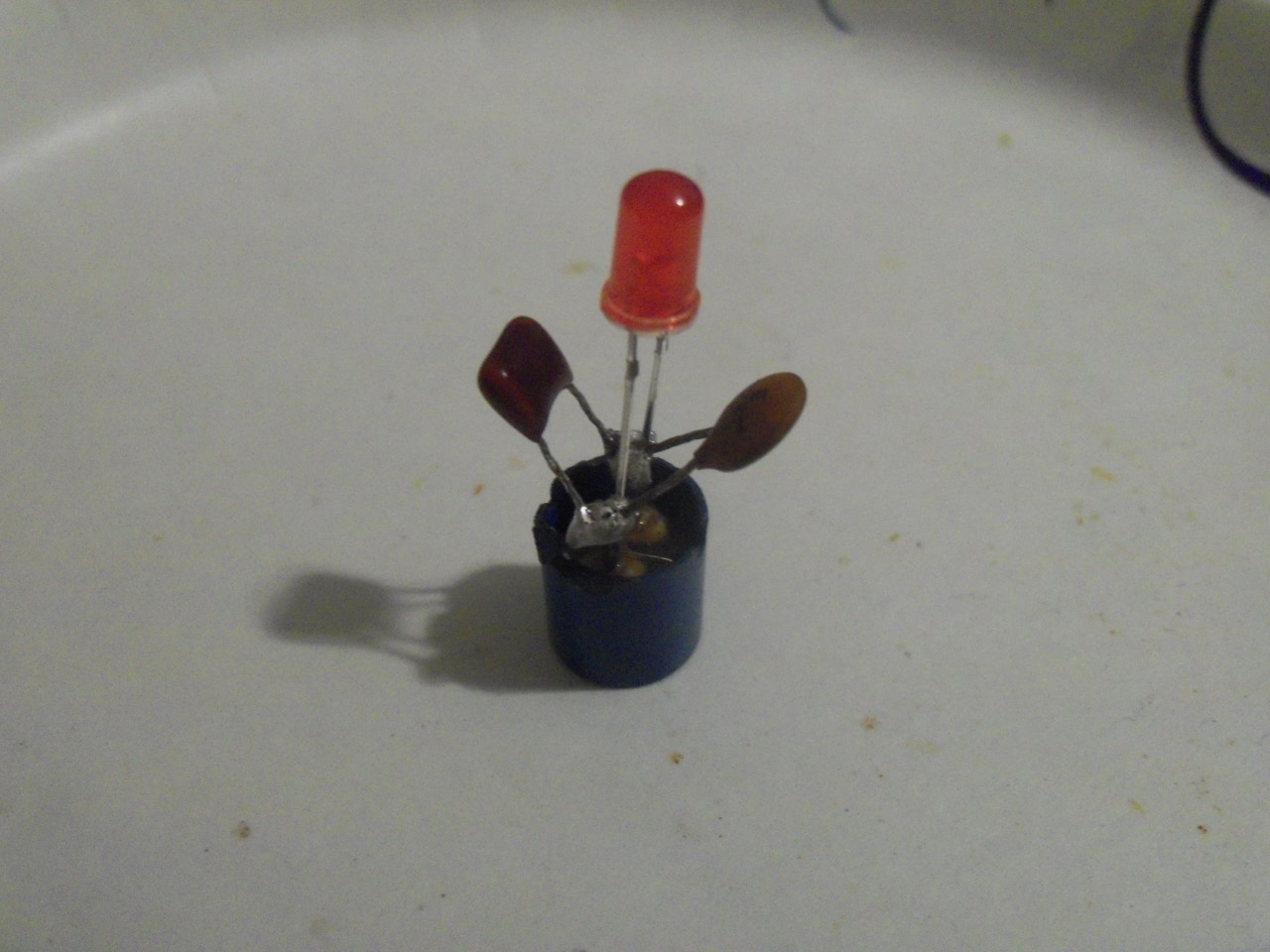100_3238.JPG