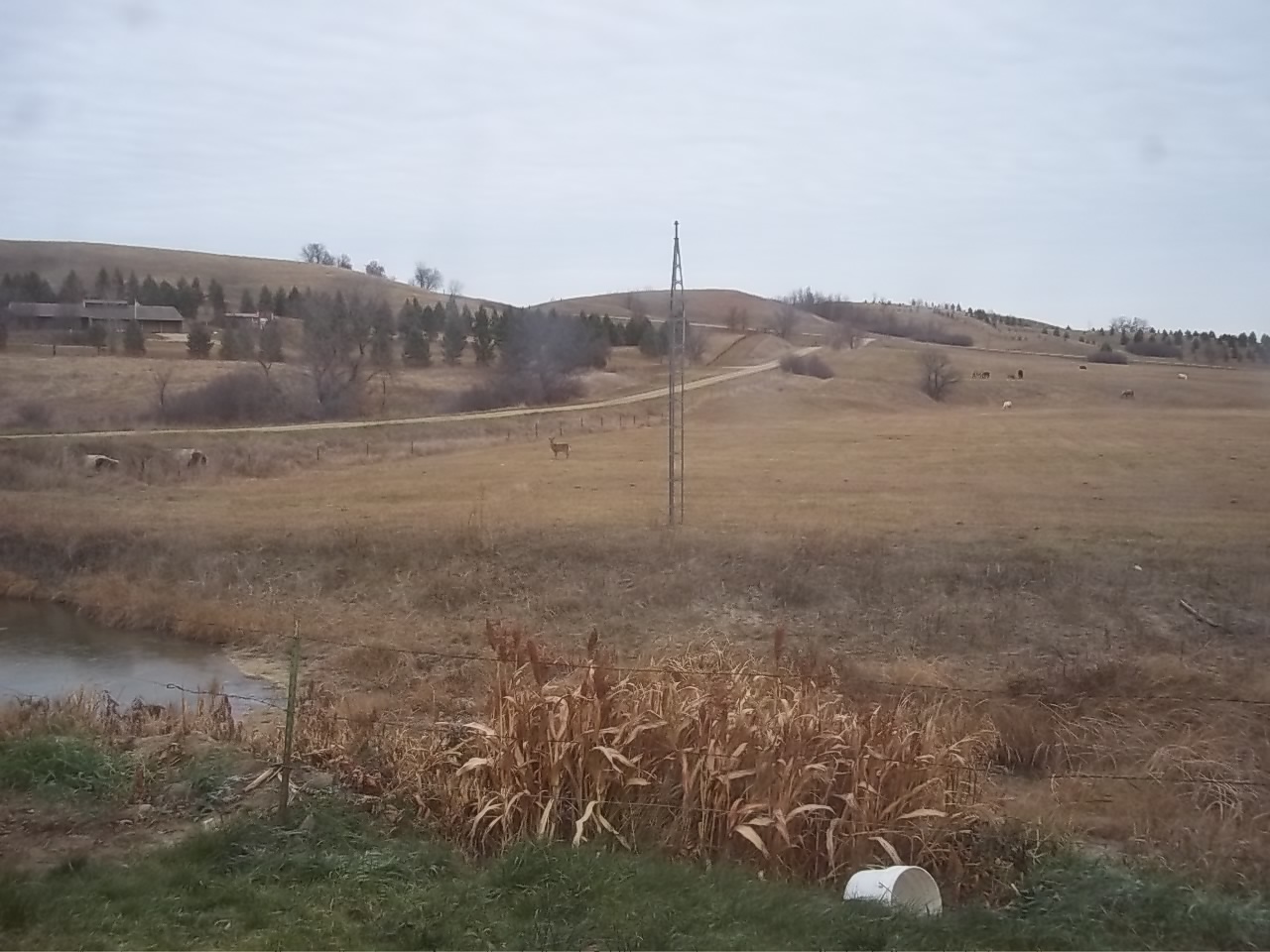 100_4066.JPG