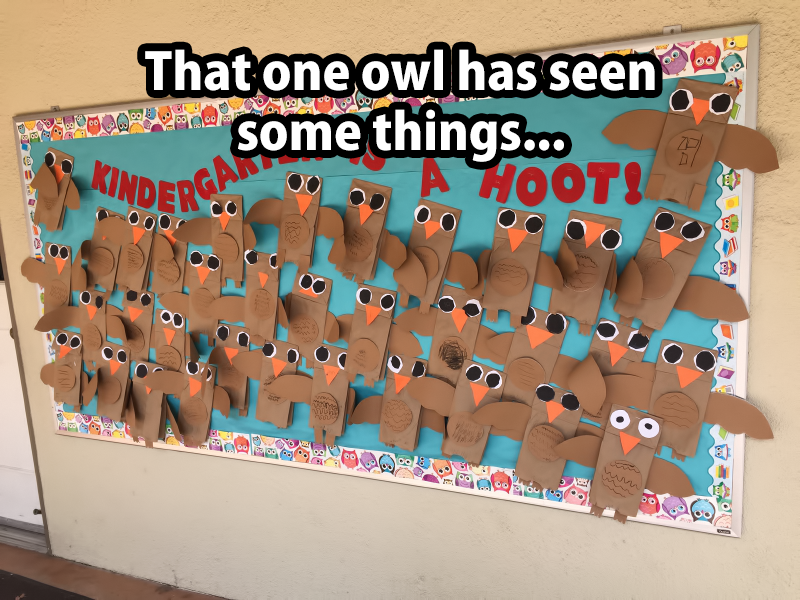 12036611_10153636353641112_97499656277612498_n.png