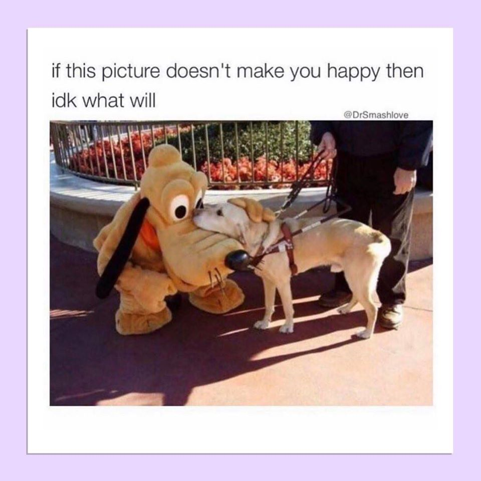 1580786672372.png