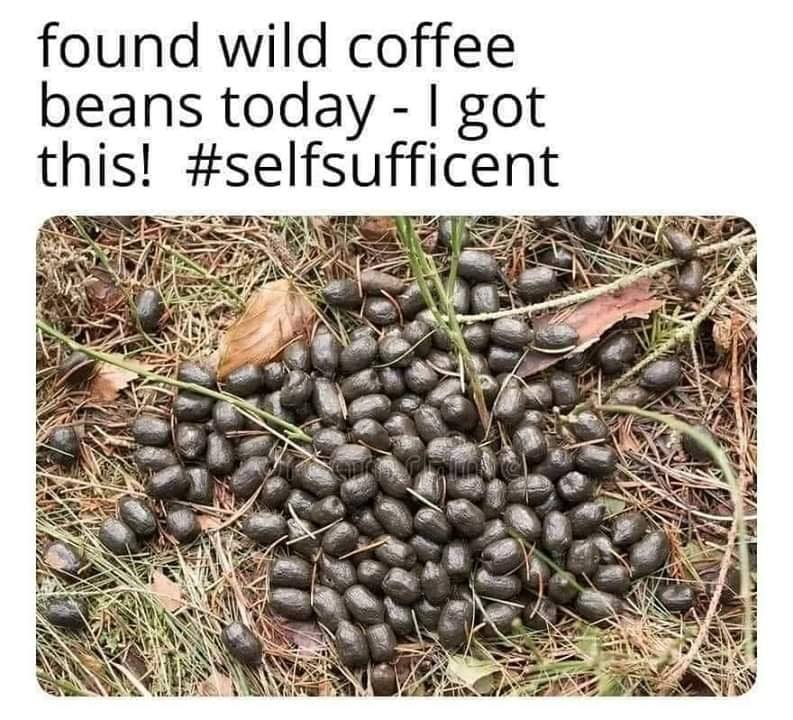 1586651434898.png