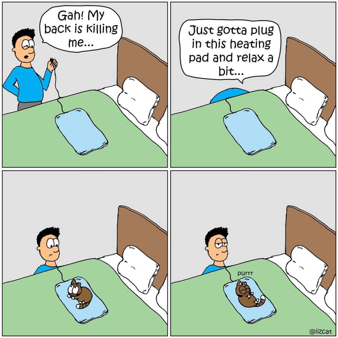 1611494735298.png