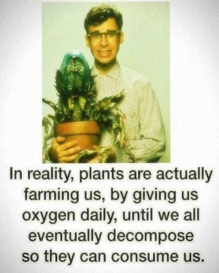 1623712318802.png