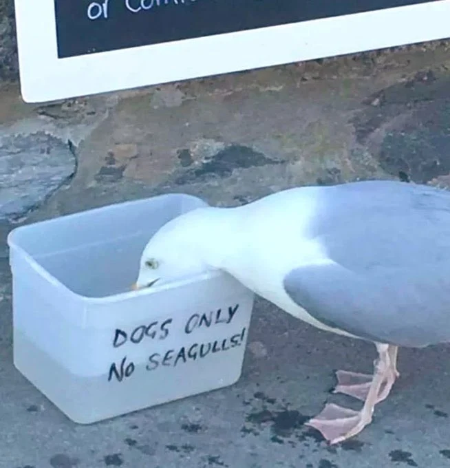1635890825444.png