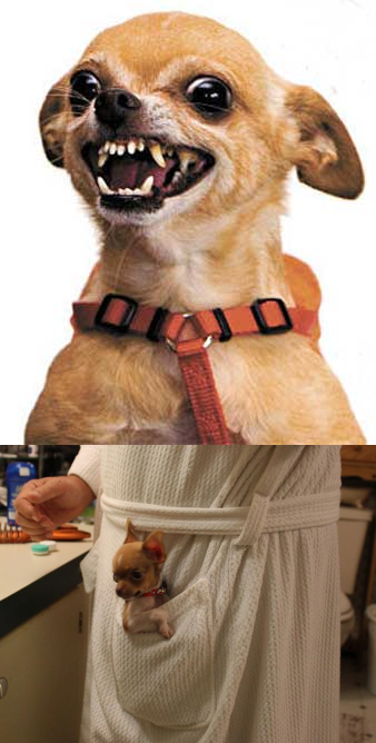1639781009123.png