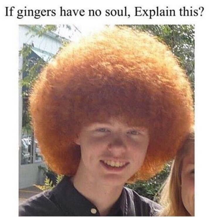 1hhQwTD.jpg