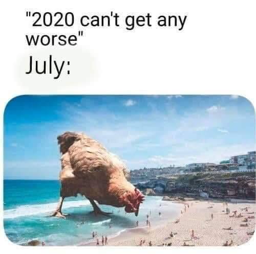 2020 cant get worse.jpg