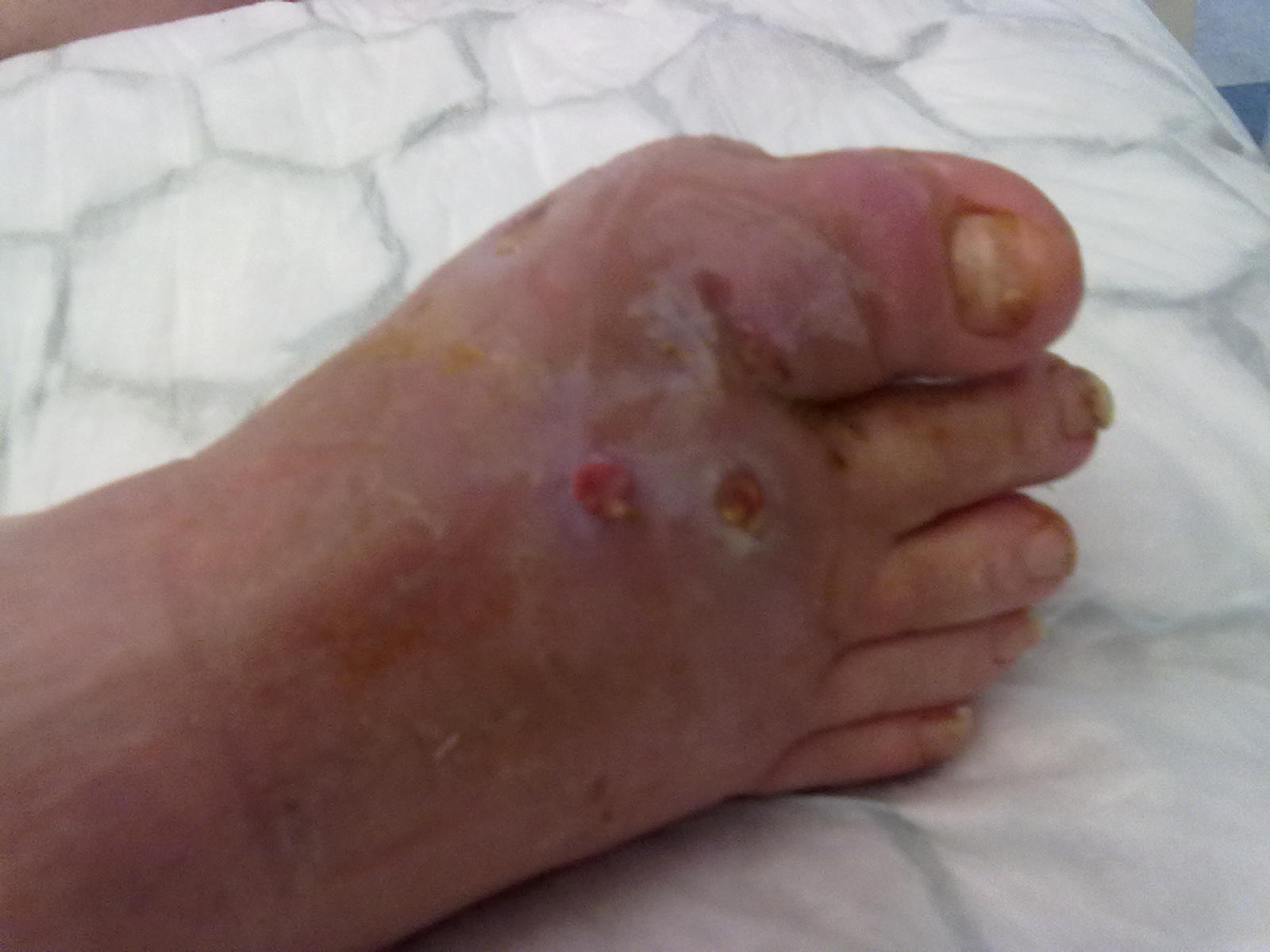 23112013401.jpg