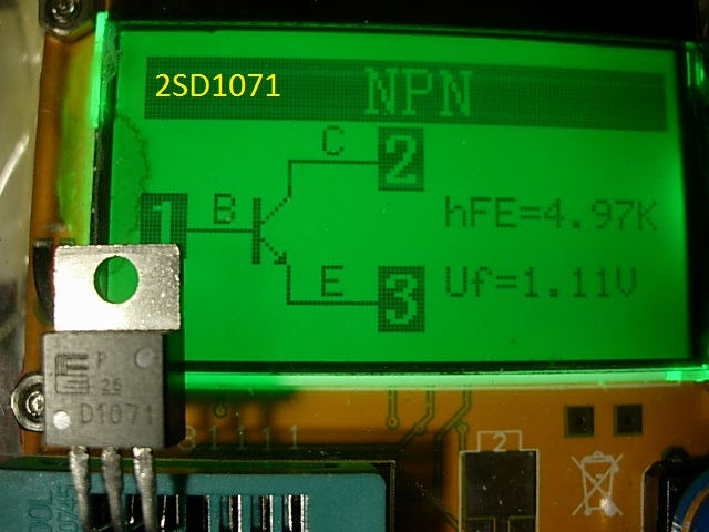 2SD1071.JPG