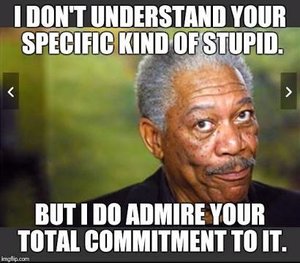632423-8b54c424a751a8cb3c4bbea17099c8f7.jpg