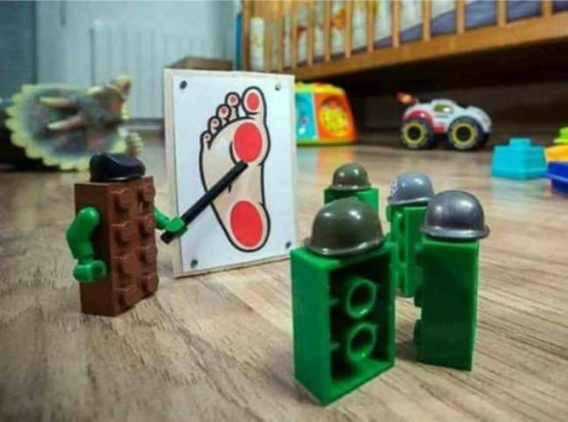 85249933.jpg