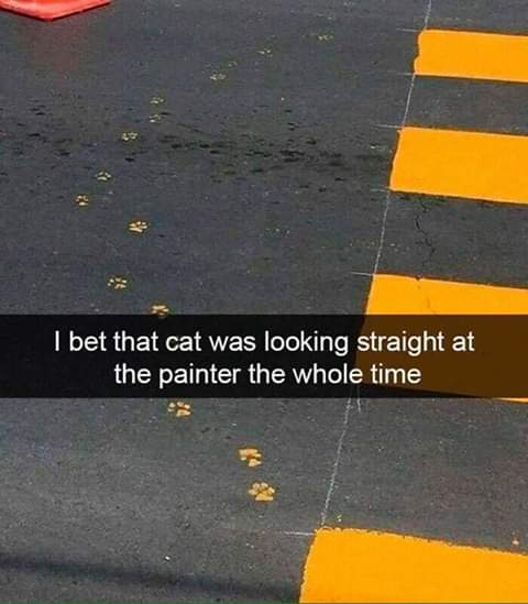 86137229.jpg