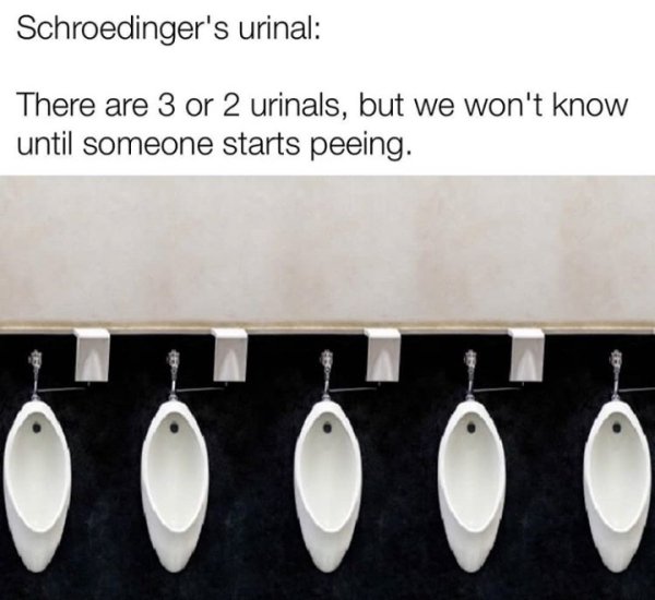 86271851.jpg