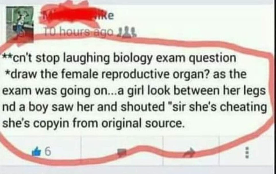 86280152.jpg