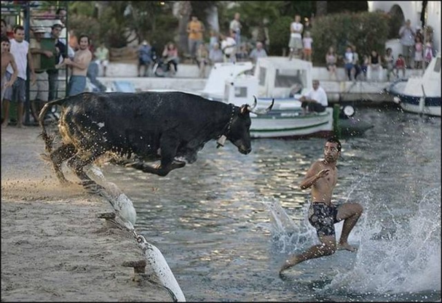 almorcar_toro.jpg
