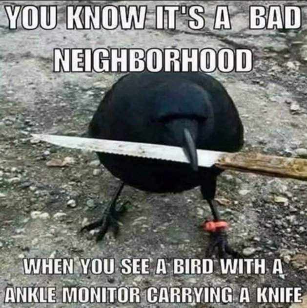 Bad Neighborhood2.jpg