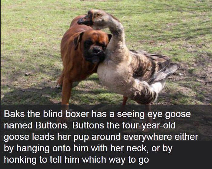 baks and buttons.jpg