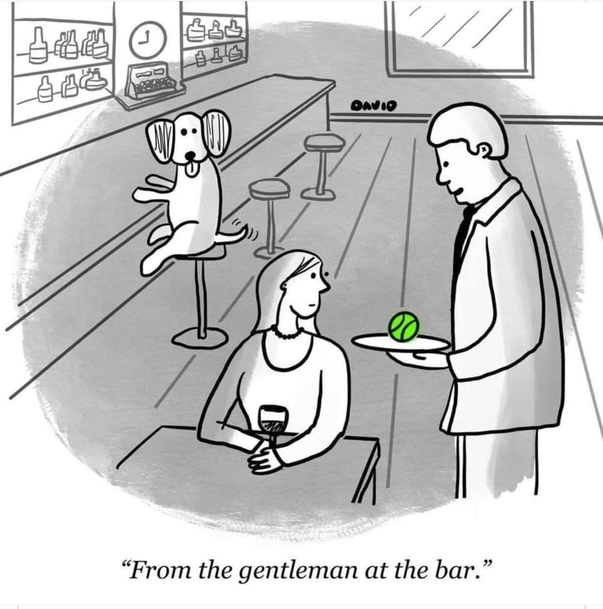 bar.jpg