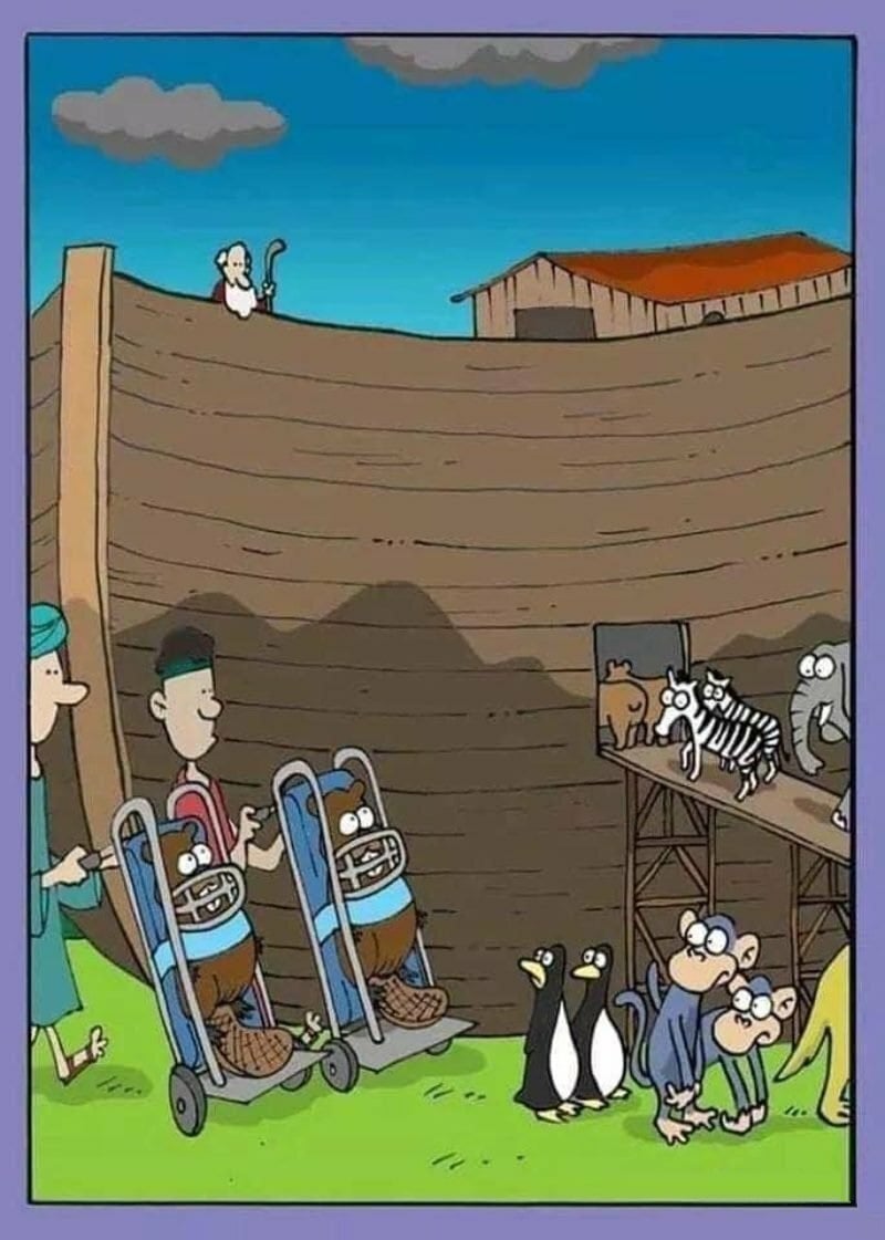 Beavers in ark.jpg