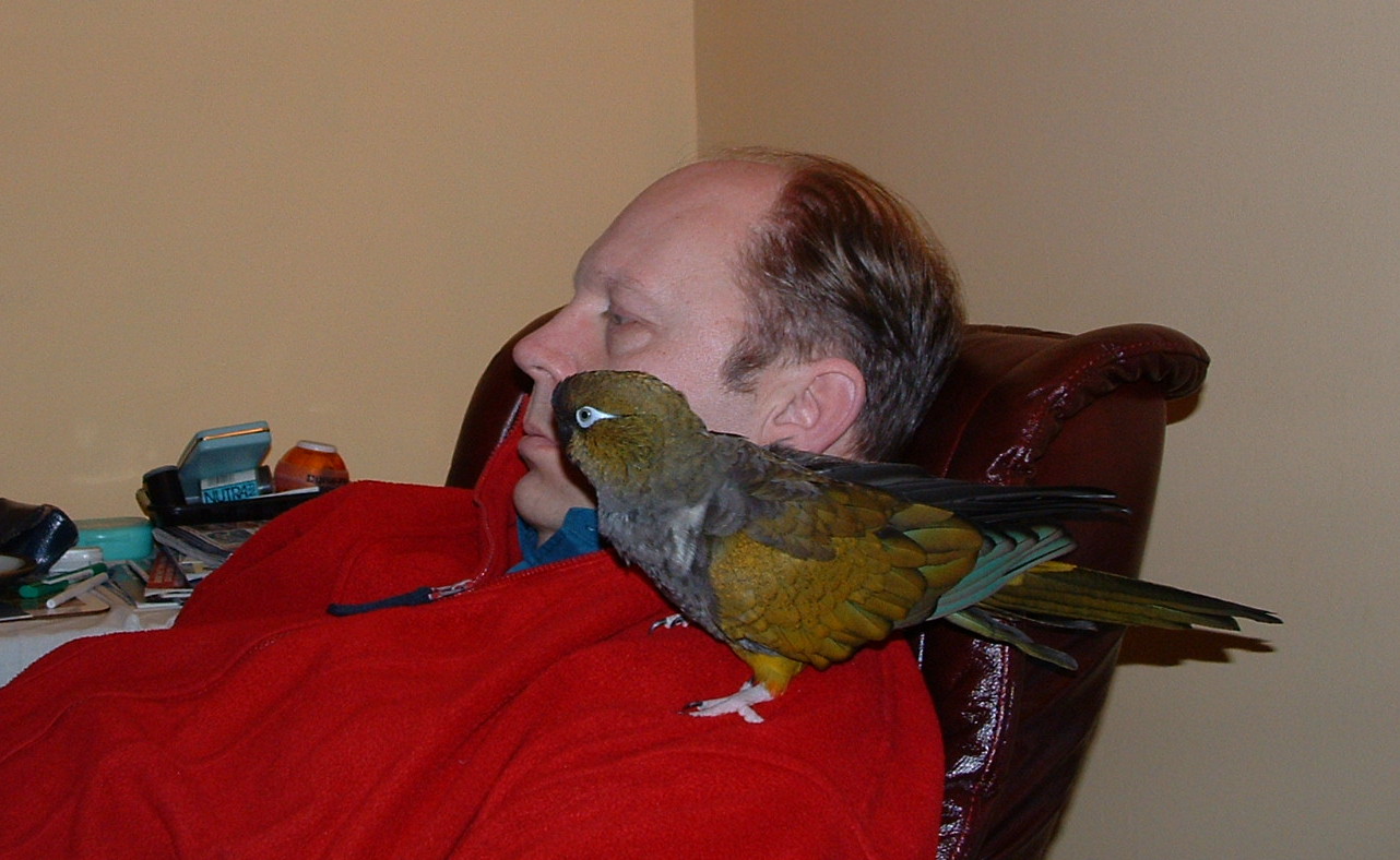 Bird on Shoulder.JPG