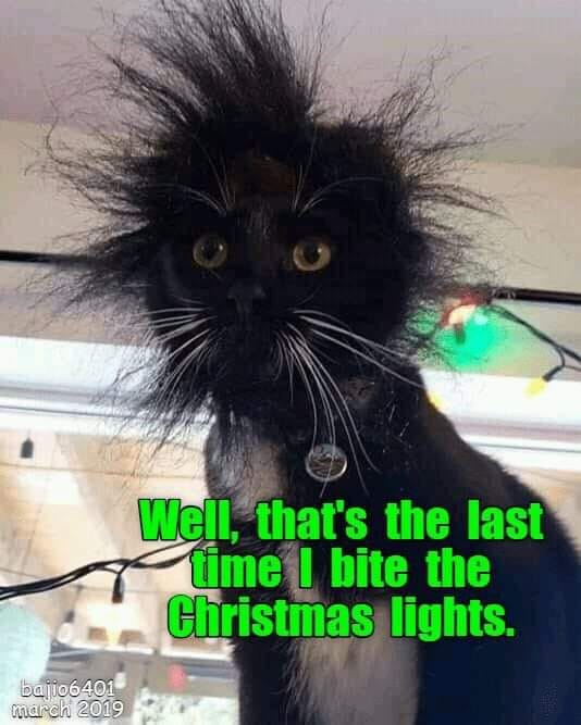 Bit Christmas lights.jpg