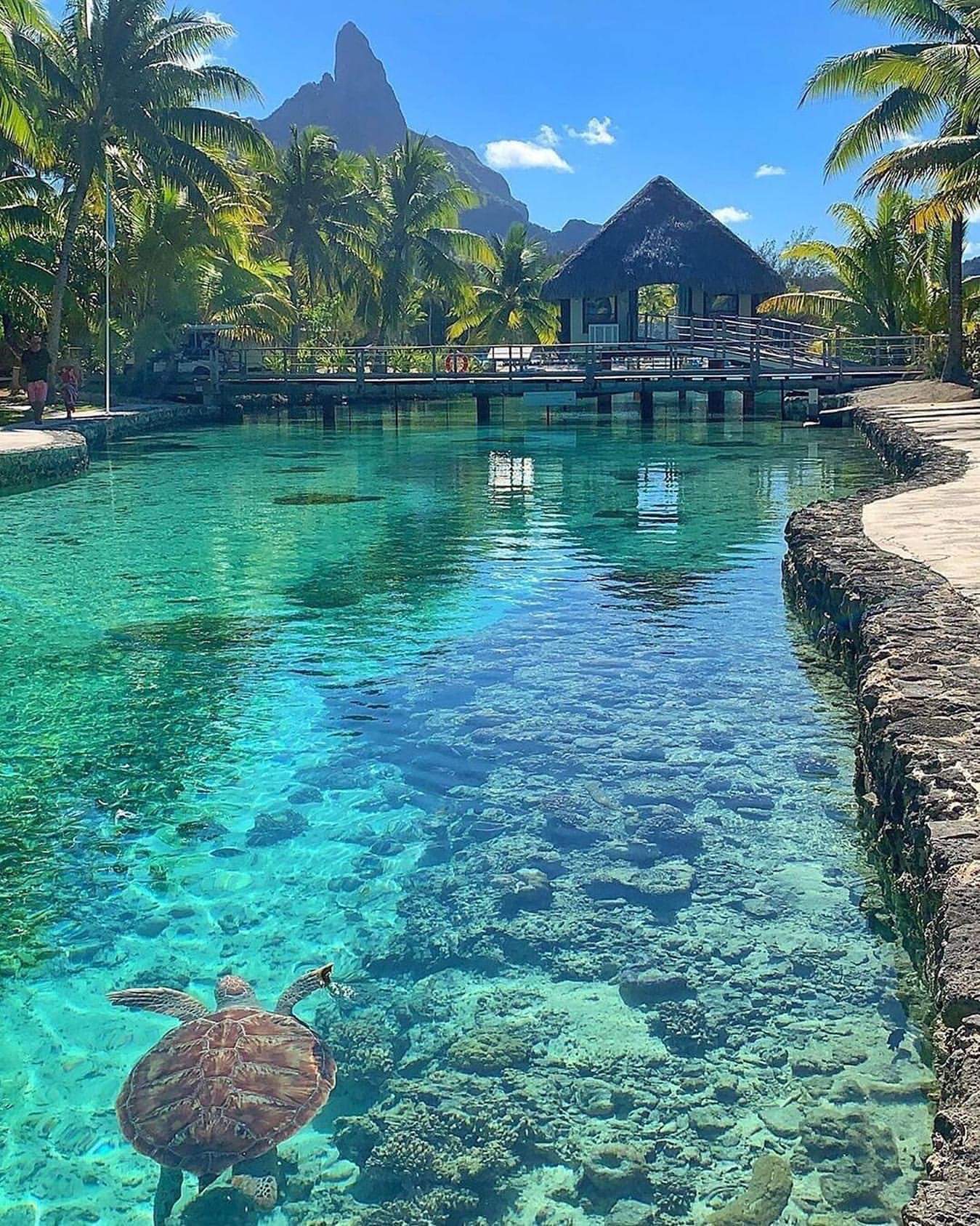 Bora Bora - French Polynesia.jpg