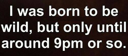 Born to be wild.jpg