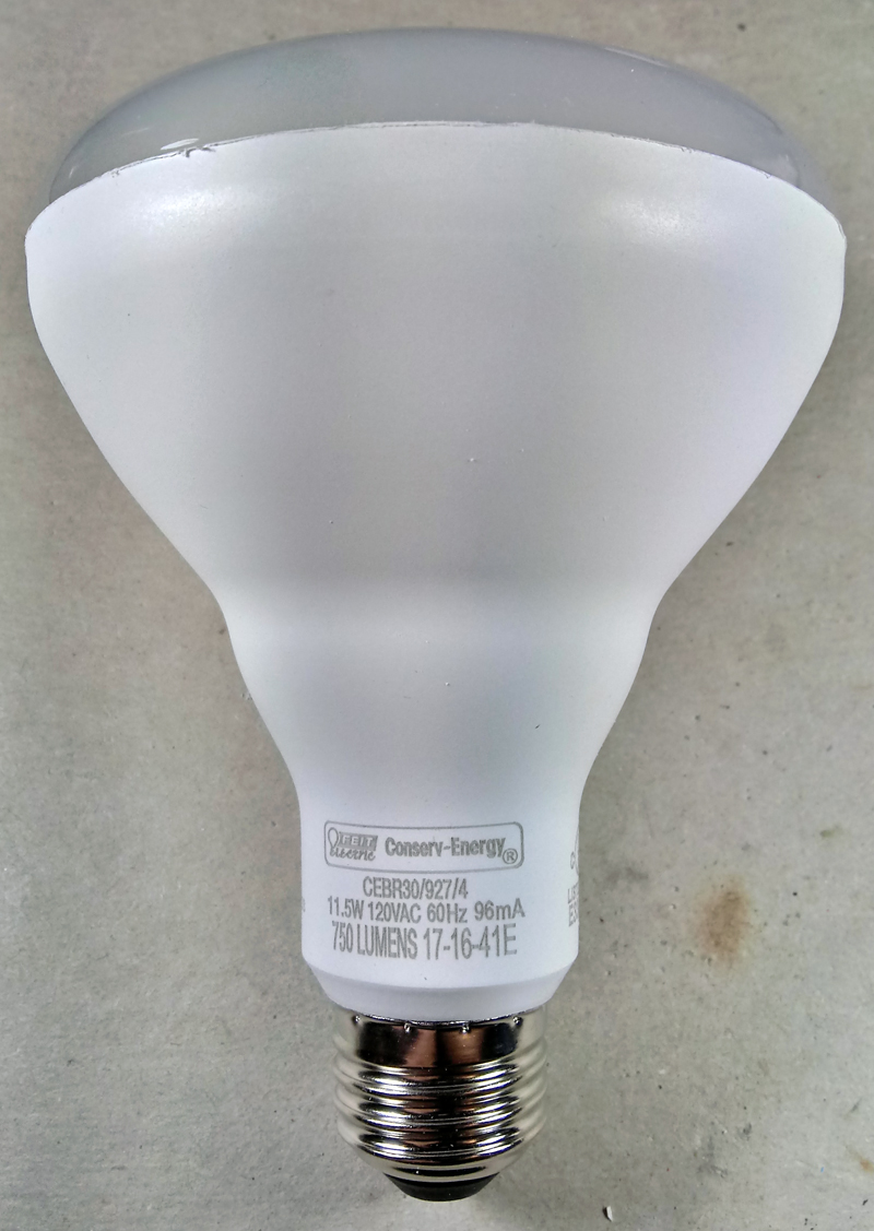 Bulb 20200125_141134_HDR.jpg