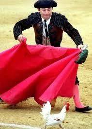 Bull Rooster.jpg