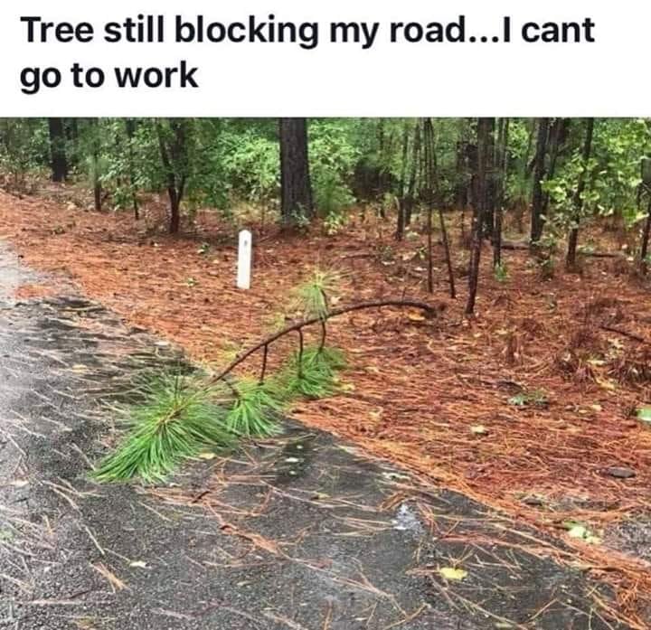 Cant go to work.jpg