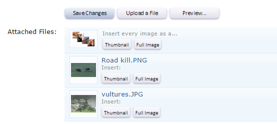 Capture.PNG