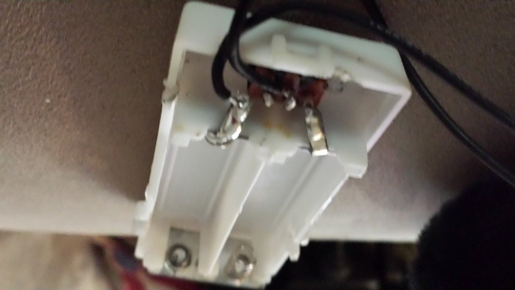 Cat ReSolder for Patty.jpg