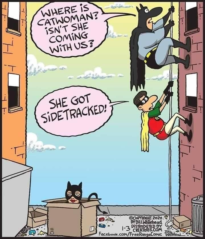 Cat Woman in a box.jpg