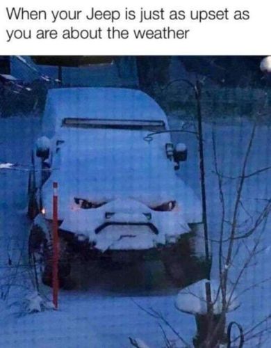 Cold.jpg