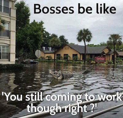 Coming to work.jpg