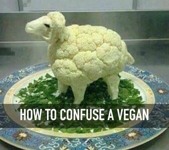 Confuse a vegan.jpg