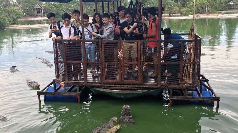 croc.jpg
