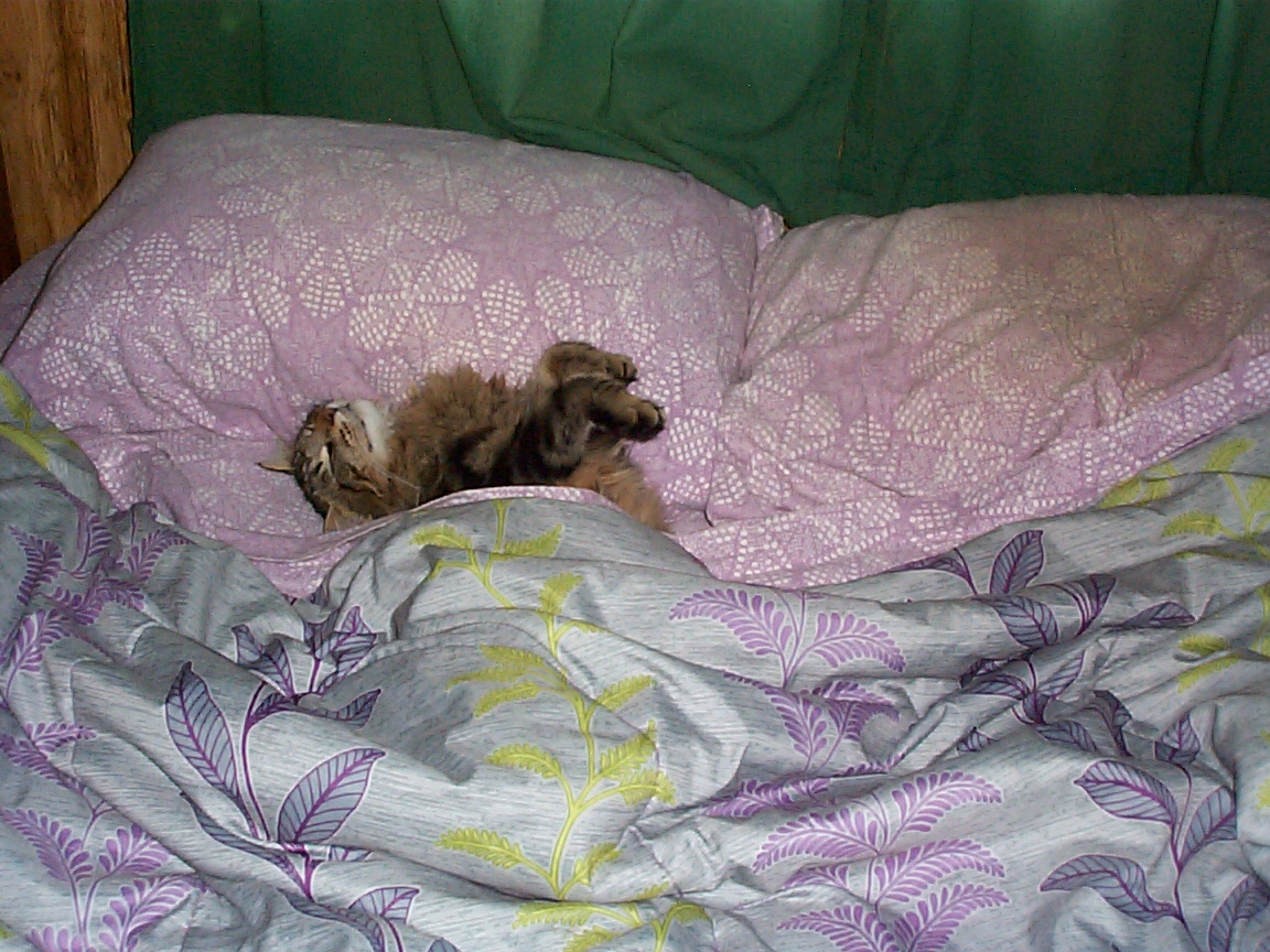 DCP02650.JPG