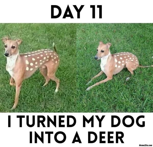 DiXNjbU.jpg