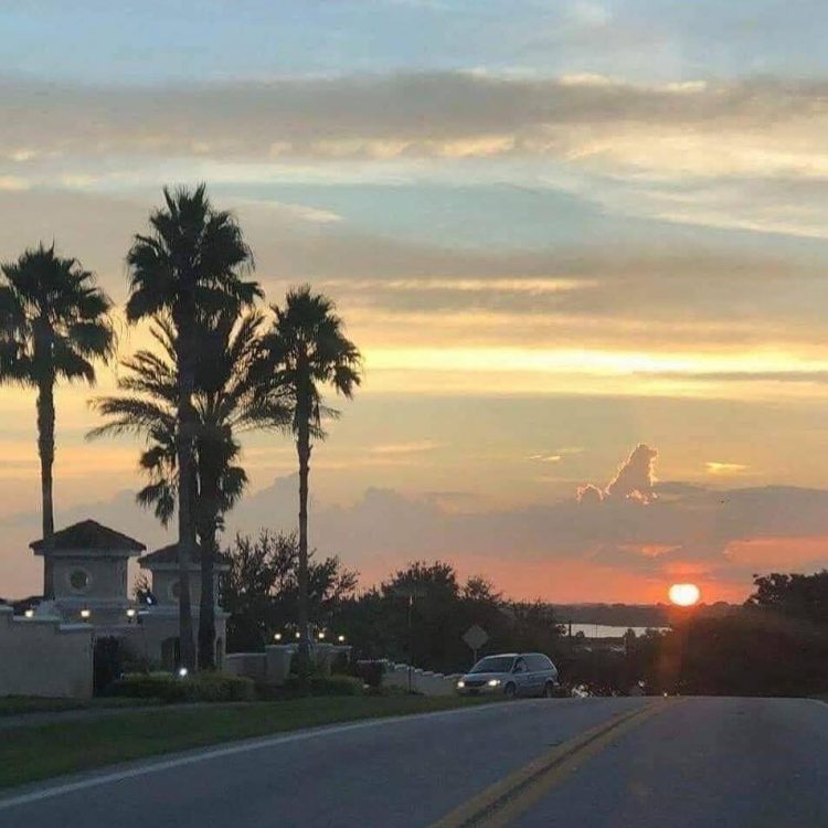 dogcloudheaven1-750x750-1.jpg