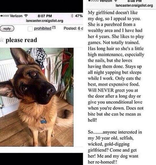 doggie.jpg