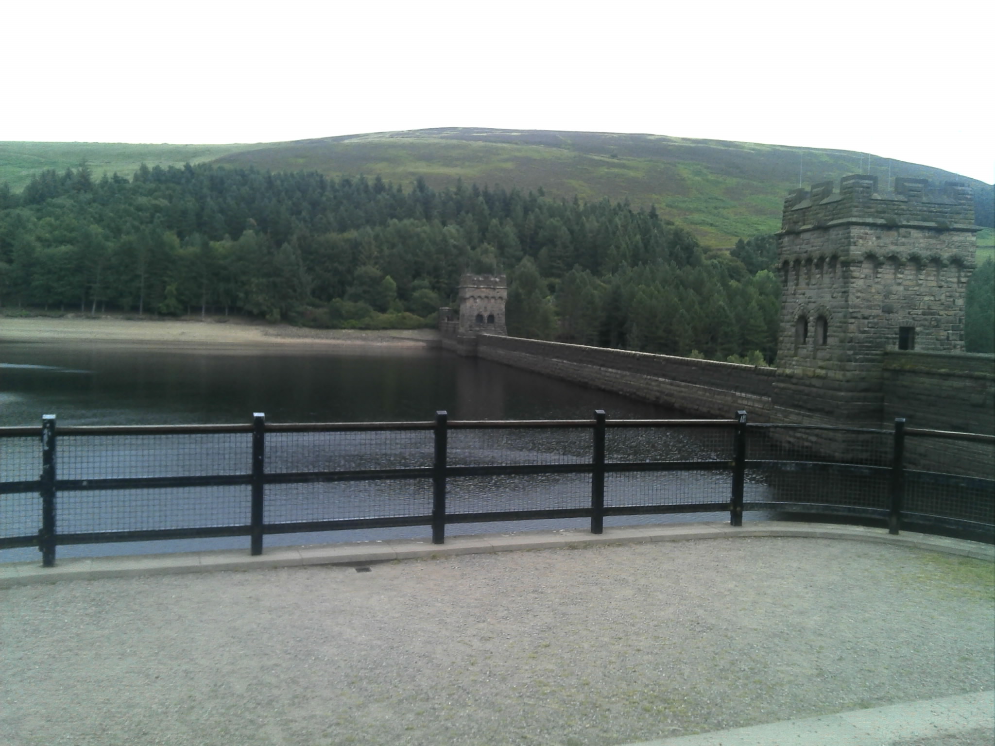 DSC00805.jpg