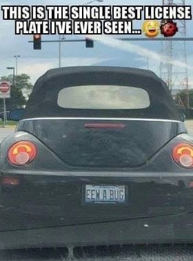 EEW a bug.jpg