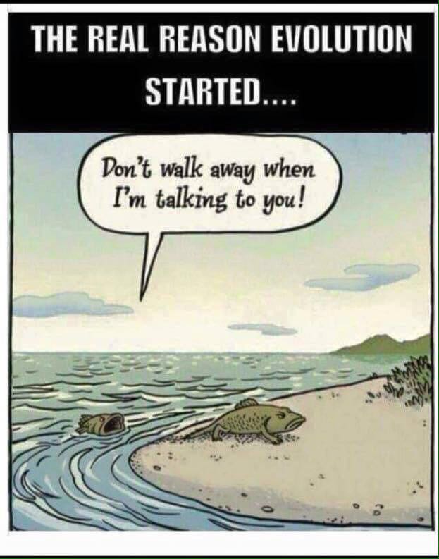 Evolution real reason.jpg