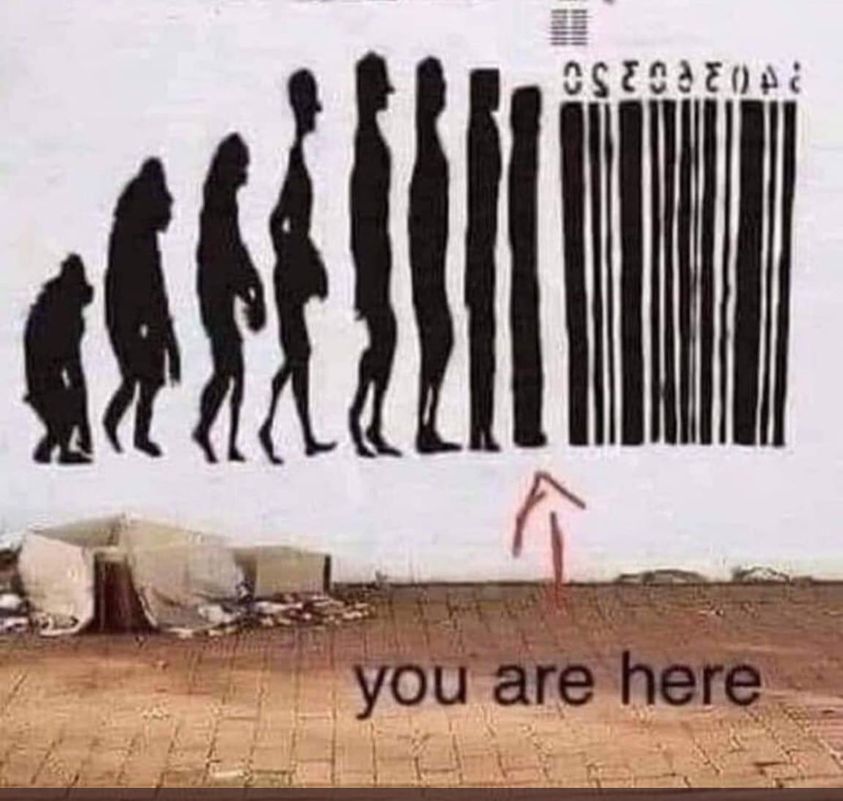 Evolution you are here.jpg