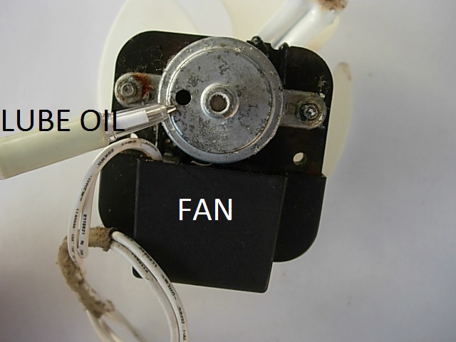 FAN.1.JPG