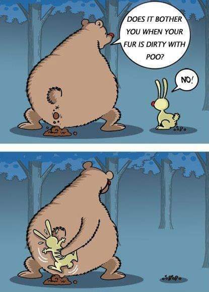 FB_IMG_1584700737101.jpg