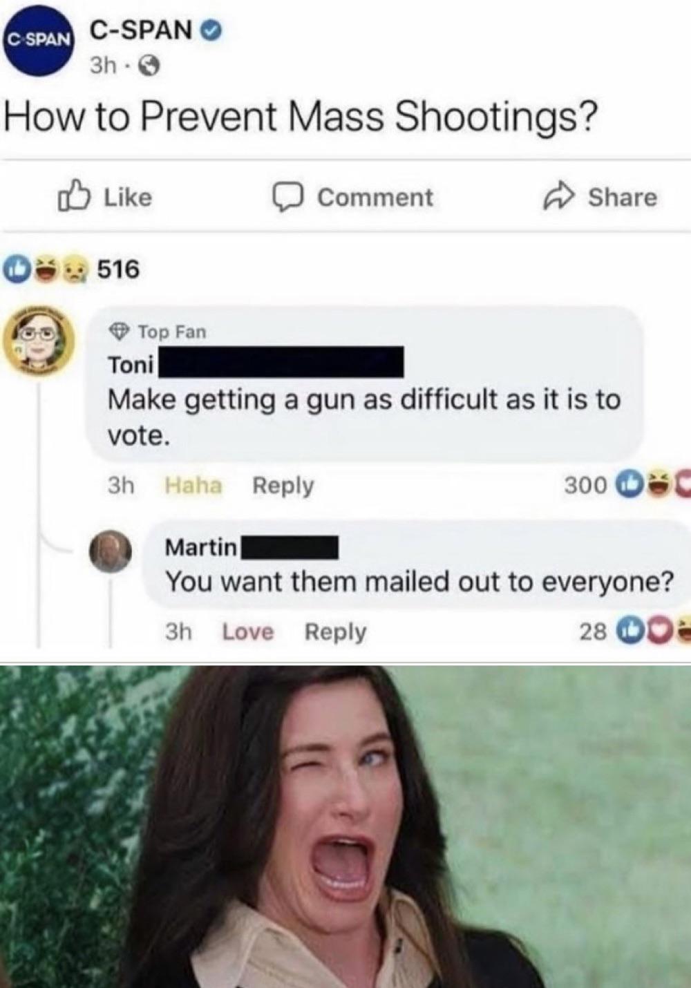 firearm-vote.jpg